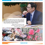 Ban-tin-40_Anh-dai-dien-2